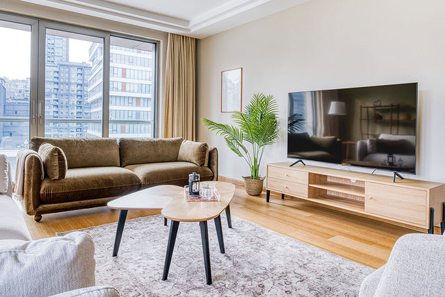 Fonksiyonel ve Teknolojik